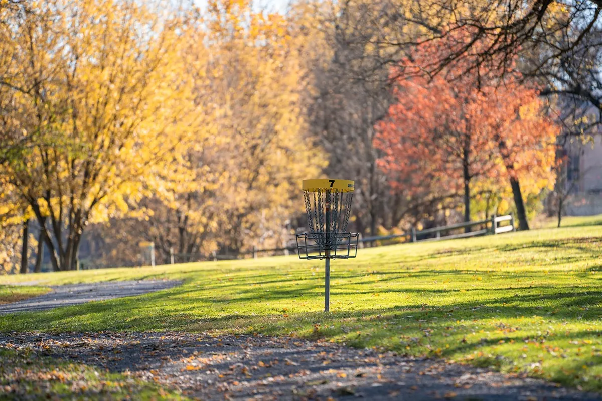 Beginner's Guide to Disc Golf at Dale's Riverside Park
