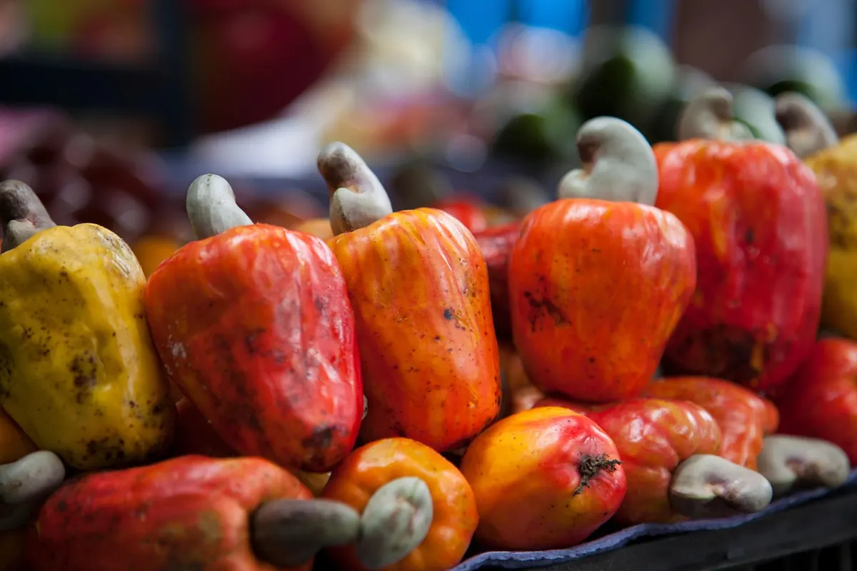 Dale Farmers Market vs. Riverside Saturday Market: A Shopper's Comparison